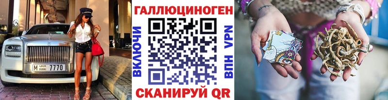 дарк нет Telegram  Чухлома  Псилоцибиновые грибы MAGIC MUSHROOMS 